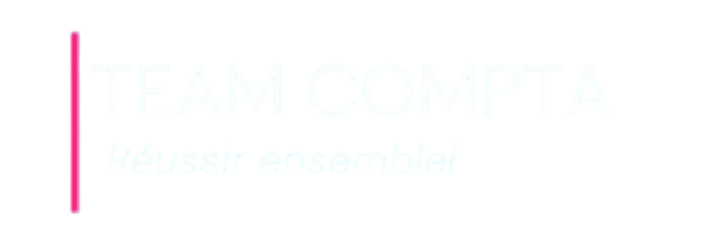 team-compta-fiscalité-optimisation-accompagnement- comptable-association-restaurant-conseil-conformité-perpignan-pyrénées-orientale