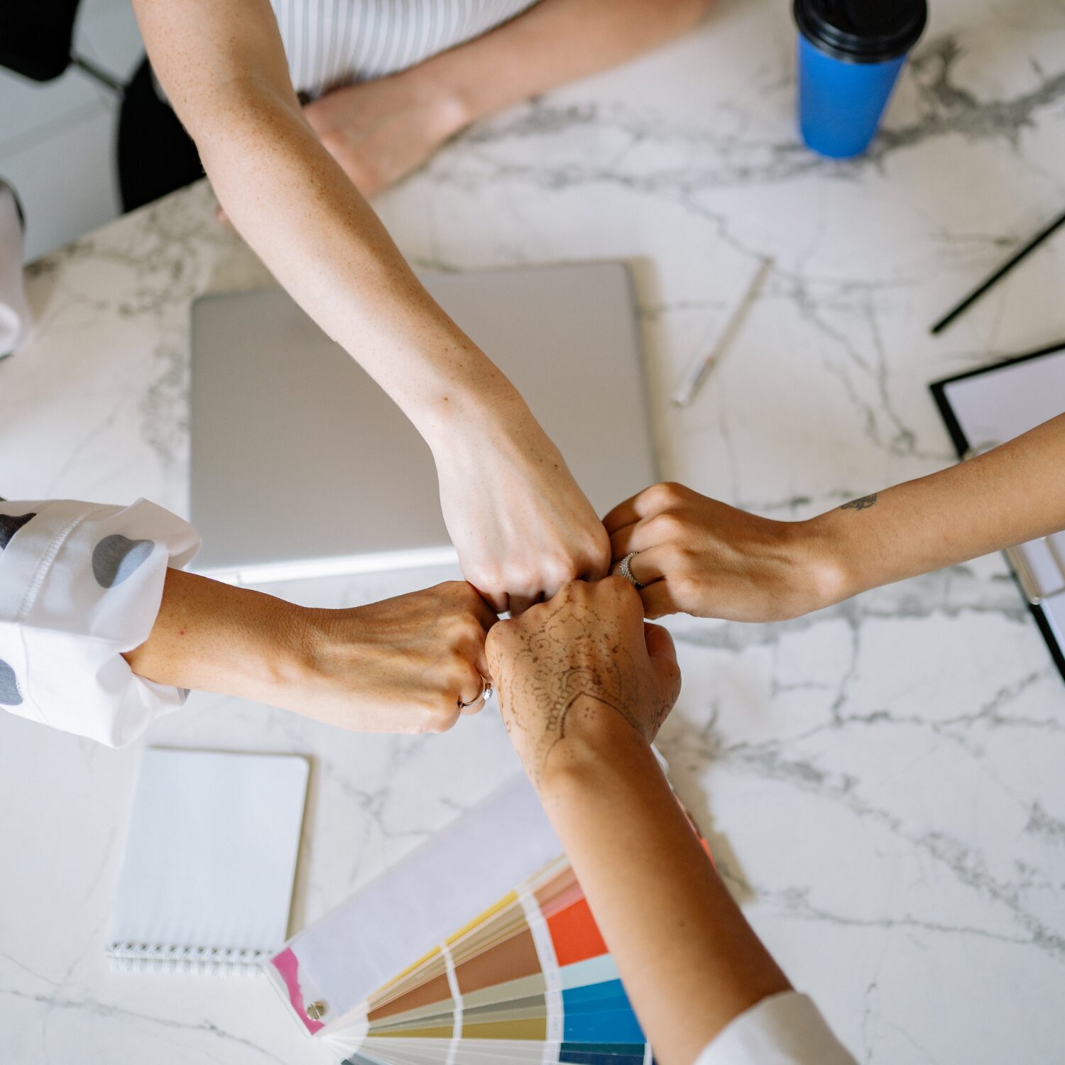 team-compta-fiscalité-optimisation-accompagnement- comptable-association-restaurant-conseil-conformité-perpignan-pyrénées-orientale